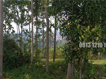 Dijual Tanah Cocok Buat Investasi di Megamendung Bogor - Tanah Dijual