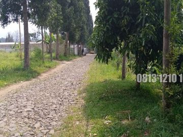 Dijual Tanah Cocok Buat Investasi di Megamendung Bogor - Tanah Dijual