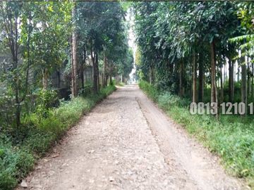 Dijual Tanah Cocok Buat Investasi di Megamendung Bogor - Tanah Dijual