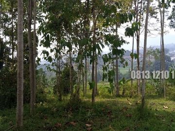 Dijual Tanah Cocok Buat Investasi di Megamendung Bogor - Tanah Dijual