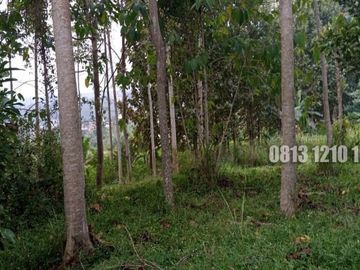Dijual Tanah Cocok Buat Investasi di Megamendung Bogor - Tanah Dijual