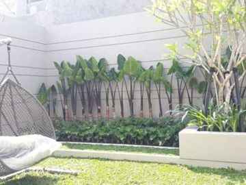 Rumah Cantik Menarik nan Mewah Type ATHENA