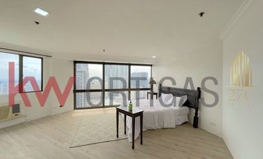 Newly Renovated Luxury Condo for Sale in Ritz Towers, Ayala Avenue