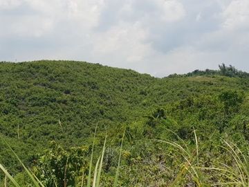 Affordable 174 Sqm Lot for Sale in San Vicente, Liloan with overlooking view