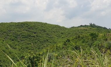 Affordable 174 Sqm Lot for Sale in San Vicente, Liloan with overlooking view