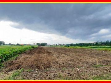 Kavling Dekat Yonif 407 Tegal, Luasan Ideal: Layak Huni