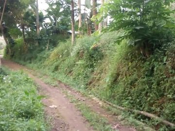 Tanah kemuning ngargoyoso 493m 175jt