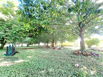 VENDO CASA HERMOSA EN TERRENO DE 01HECTAREA