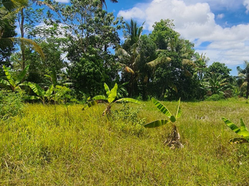 DIJUAL TANAH HOOK DI GIANYAR