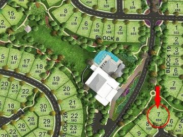 Biggest Residential Lot for sale in Mirala NUVALI, Laguna