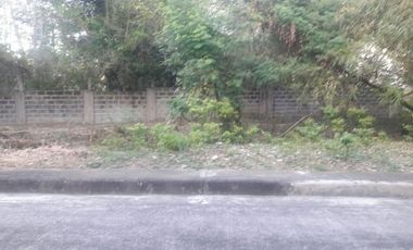 172 Sqm Residential Lot for Sale in Basak Lapu-Lapu Cebu