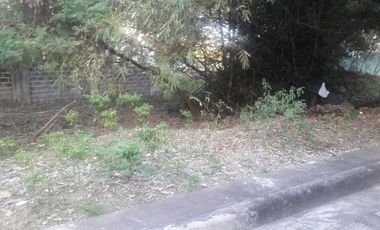 172 Sqm Residential Lot for Sale in Basak Lapu-Lapu Cebu