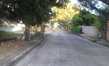 172 Sqm Residential Lot for Sale in Basak Lapu-Lapu Cebu