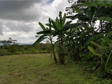 VENDO LOTE DE TERRENO LAS PALMAS VERAGUAS