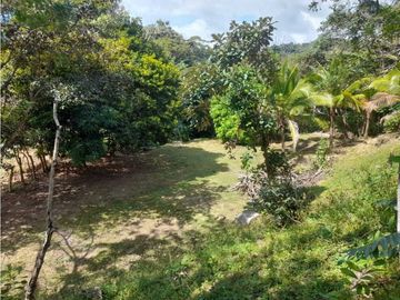 CASA EN PENONOME COLINDA CON RIO EXTENSO TERRENO 1108.83 M2
