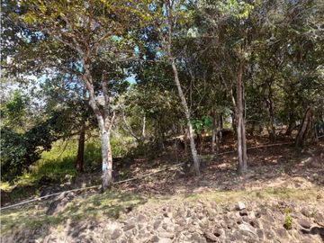 CASA EN PENONOME COLINDA CON RIO EXTENSO TERRENO 1108.83 M2