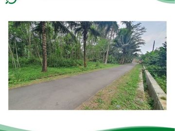 Kawasan Wisata Borobudur Magelang Tanah Kapling SHM