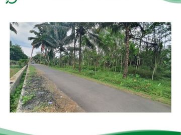 Kawasan Wisata Borobudur Magelang Tanah Kapling SHM