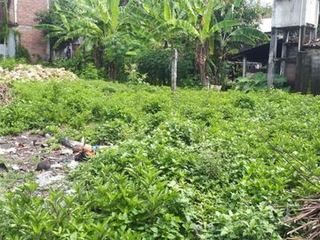 RUMAH TANAH LUAS 5 MENIT KE RINGROAD SELATAN JOGJA