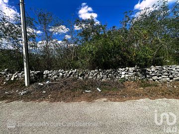 Venta de Terreno en Kinchil a 52 meses.