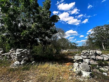 Venta de Terreno en Kinchil a 52 meses.