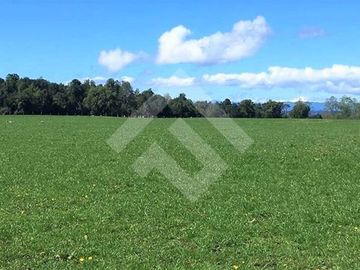 Parcela en Venta en Lago Puyehue-Mantilhue