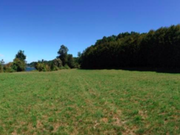 Parcela en Venta en Lago Puyehue-Mantilhue