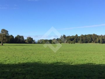 Parcela en Venta en Lago Puyehue-Mantilhue