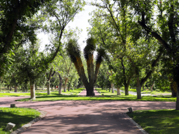 TERRENOS CAMPESTRES EN VENTA PARRAS COAHUILA