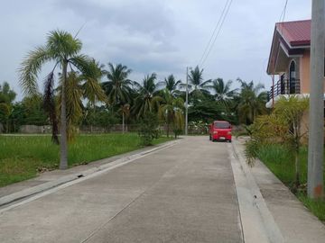 Lot Only Ready 2 Build Ur Dream in Villa Sta.Catalina Carcar