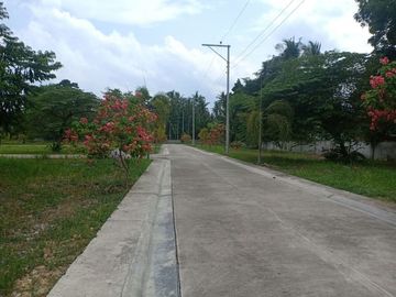 Lot Only Ready 2 Build Ur Dream in Villa Sta.Catalina Carcar