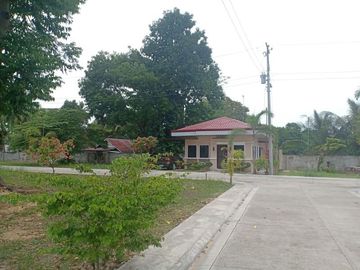 Lot Only Ready 2 Build Ur Dream in Villa Sta.Catalina Carcar
