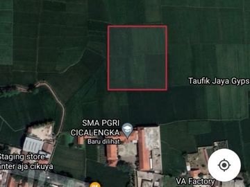 5666 M2 Sawah Subur Dekat ke Jalan Raya, Desa Cikuya, Cicalengka, Kab. Bandung