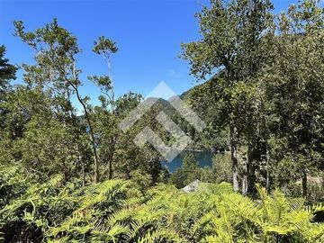 Sitio en Venta en Ensenada