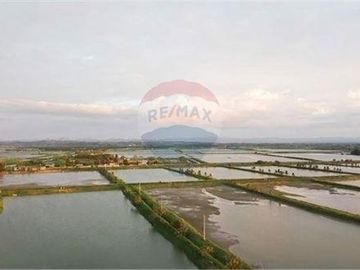 camaronera de venta de agua dulce  Tosagua- Manabi