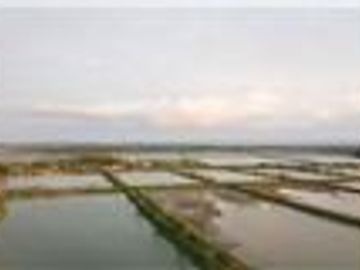 camaronera de venta de agua dulce  Tosagua- Manabi
