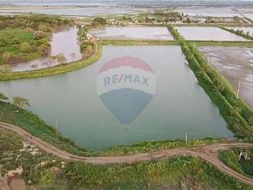 camaronera de venta de agua dulce  Tosagua- Manabi