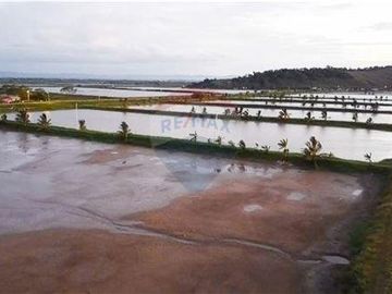 camaronera de venta de agua dulce  Tosagua- Manabi