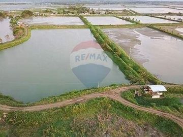 camaronera de venta de agua dulce  Tosagua- Manabi