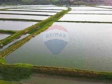 camaronera de venta de agua dulce  Tosagua- Manabi