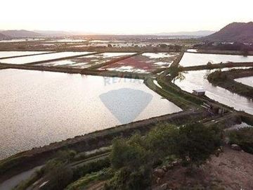 camaronera de venta de agua dulce  Tosagua- Manabi