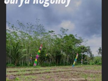 Tanah murah 55 juta dapat di angsur12&times;