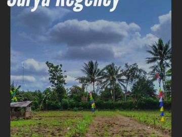 Tanah murah 55 juta dapat di angsur12&times;
