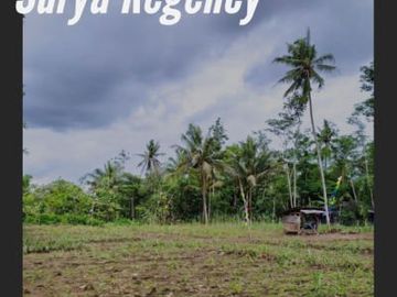 Tanah murah 55 juta dapat di angsur12&times;