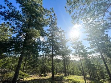 Sitio en Venta en Loteo Fundo Boyeruca, Nuevo terreno en venta