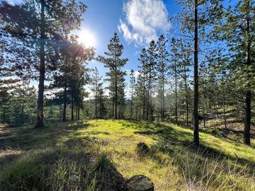 Sitio en Venta en Loteo Fundo Boyeruca, Nuevo terreno en venta