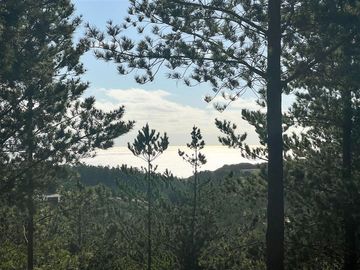 Sitio en Venta en Loteo Fundo Boyeruca, Nuevo terreno en venta