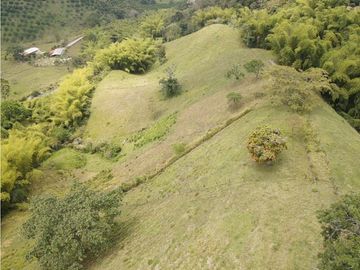 Finca en venta sector Calarcá la Virginia (13 cuadras)