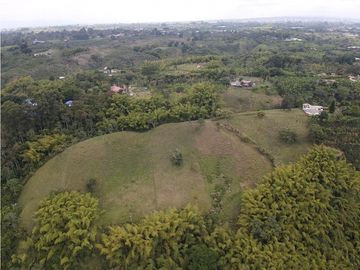 Finca en venta sector Calarcá la Virginia (13 cuadras)