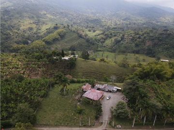 Finca en venta sector Calarcá la Virginia (13 cuadras)